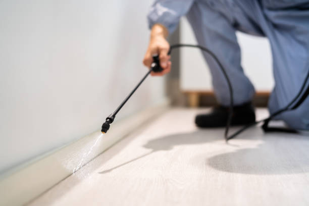 Licensed Fumigation Services service in California, MD - Nex Pest Control