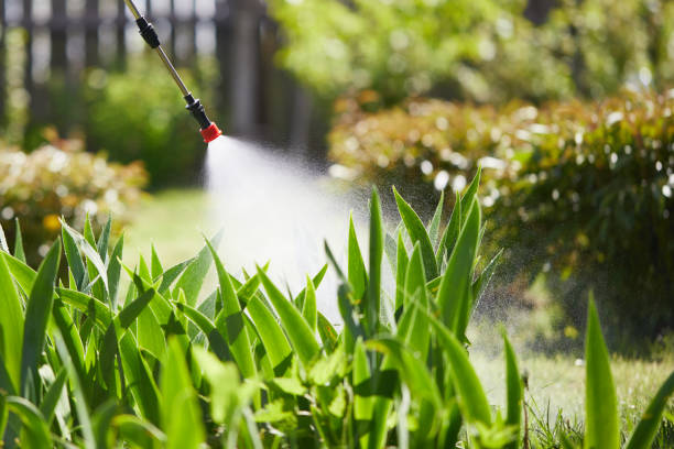 24/7 Emergency Fumigation Services experts in California, MD