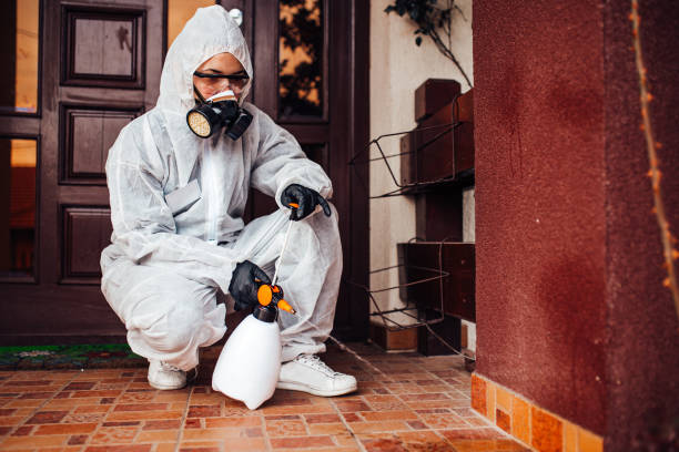 Reliable Fumigation Services contractor in California, MD by Nex Pest Control