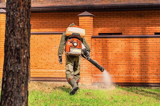 Trusted Cockroach Control service in California, MD - Nex Pest Control